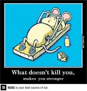 Exercise inspiration from a mouse!